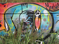 850594 Afbeelding van een graffitikunstwerk op een muur langs de jongerenplek Teen Spot ('De Kuil van Leidsche Rijn'), ...